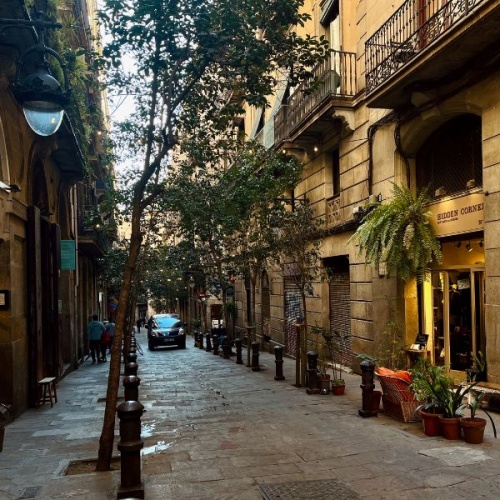 Street in Gotico