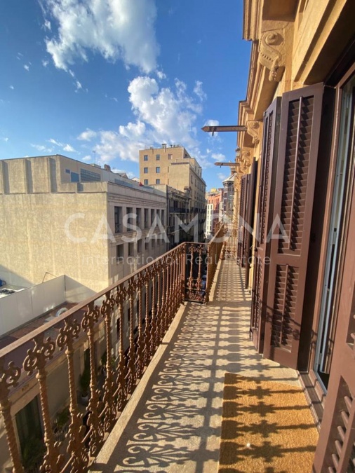 Spacieux appartement de 2 chambres avec belle lumière naturelle et terrasse