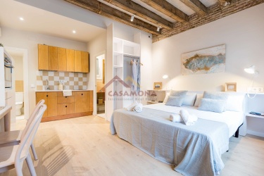 Cozy and Elegant Studio Apartment in El Born