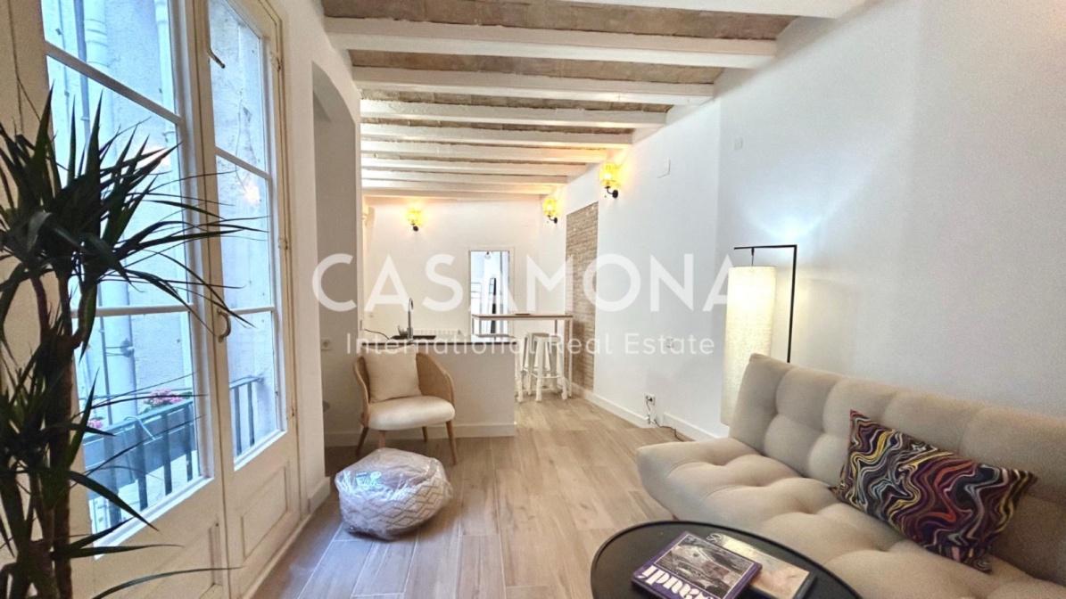 Newly Renovated 3 Bedroom Apartment next to Via Laietana