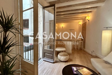 Newly Renovated 3 Bedroom Apartment next to Via Laietana